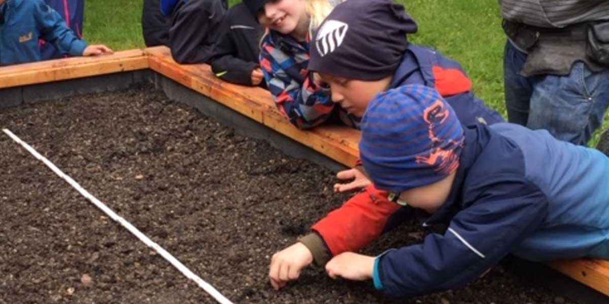 Blog 1200 600 0006 Ebene