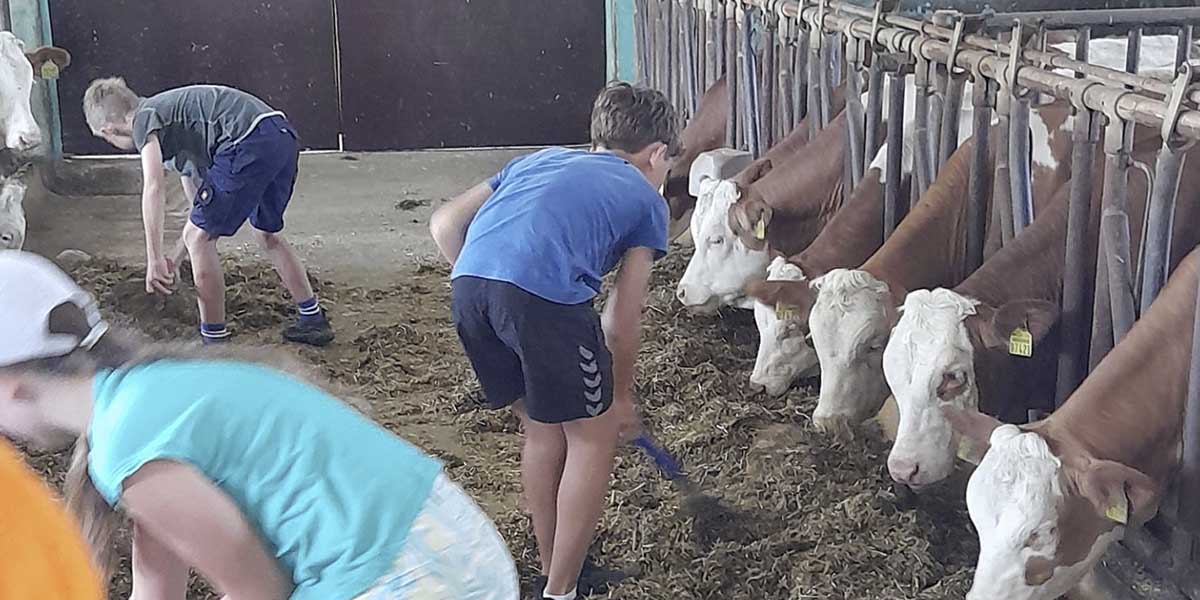 Blog 1200 600 0006 Bauernhof