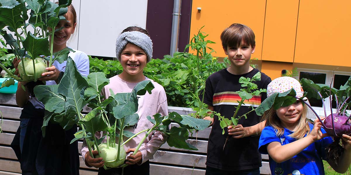 Banner 1 gemuese 1200