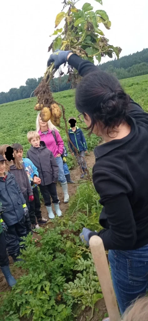 IMG 20250729 0852162 709x1536