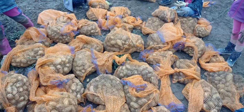 IMG 20250729 100129 1536x709