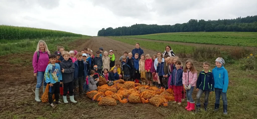 IMG 20250729 100244 1536x709