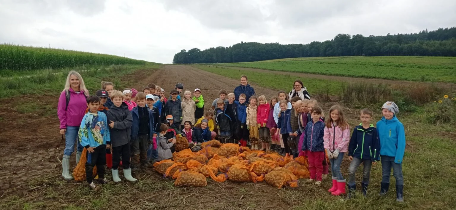 IMG 20250729 100244 1536x709