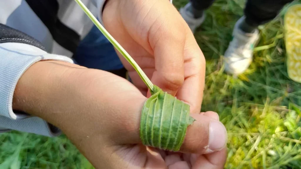 Ptd 0002 Indianerpflaster 1536x864