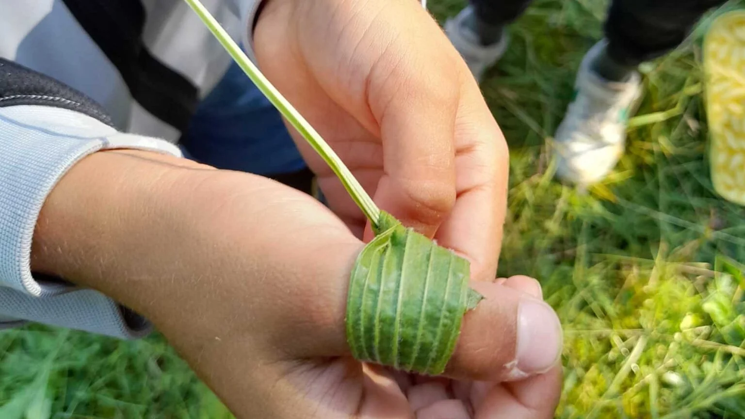 Ptd 0002 Indianerpflaster 1536x864