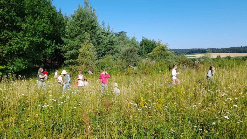 Unterrichtsgang zur ökologischen Wiese der Klasse 1a