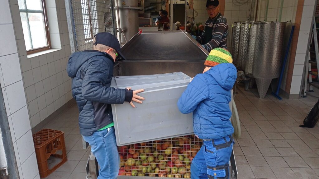 Vom Apfel zum Saft