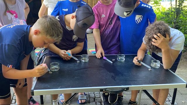 Experiment zur Oberflächenspannung