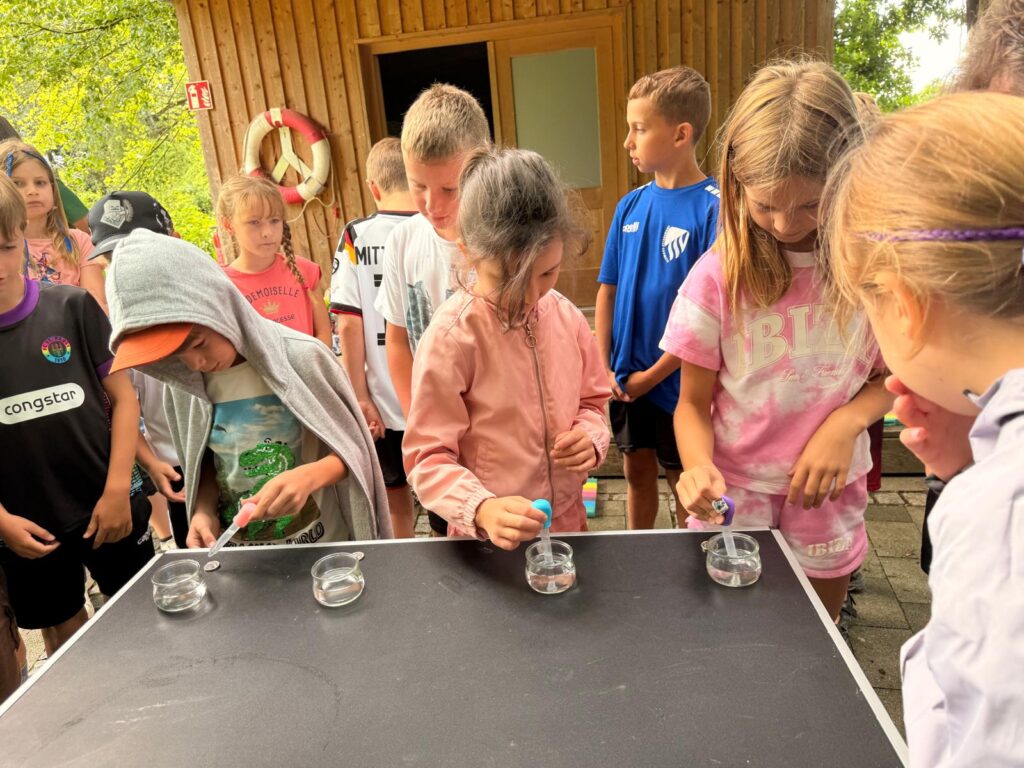 Oberflächenspannung Wie viel Wasser passt auf die Münze (1)