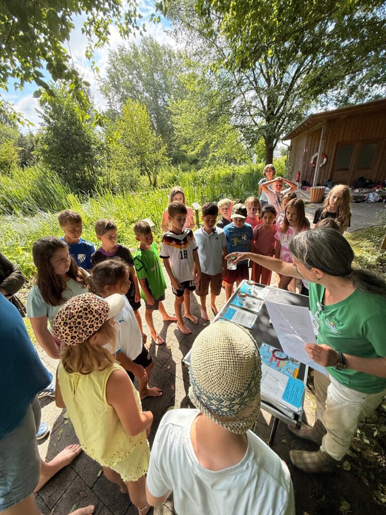 Wasserlebewesen in der Becherlupe (1)